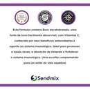 Boro Decahidratado Sunfood 500mg 60Caps