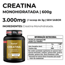 Creatina Monohidratada Sunfood 3000mg 600g