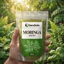 Moringa Em Pó Sendmix 100g
