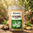 Gengibre Em Pó Sendmix 100g