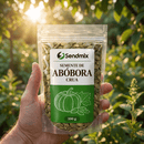 Semente De Abóbora Crua Sendmix 100g